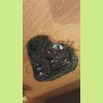 工件测试抛光后